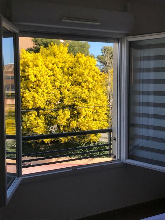 Appart' Au Port Apartment Frejus Luaran gambar